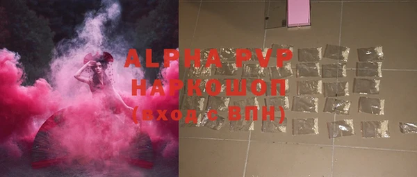 сатива Богородицк